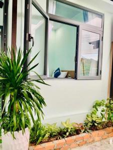 Homestay Nhà Của Gấu - Dốc Lết