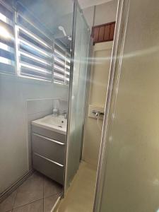 Appartement T2 climatisé à 100m de la plage - 4 Couchages AR390-216