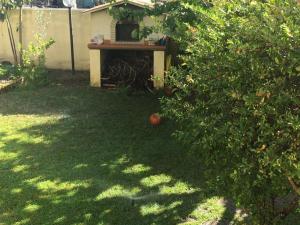 La Chiave di Violino img33