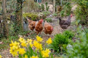 2 Bed in Winterbourne Dauntsey oc-d36904