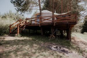 Dzikolas Glamping & Spa - Jurty z prywatnym jacuzzi