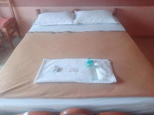 vega tourist residency