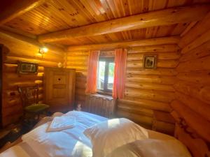 Cabana vânătorului