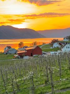 Charming tiny house with panorama view