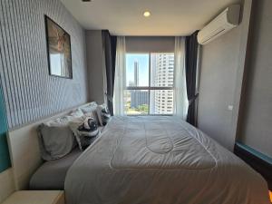 Lupini park jomtien beach sea view