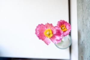 Domo A8 22 Relax e mare a Orosei img34