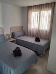 Casa la Pluma Torrevieja