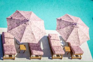 JAdore Secret Garden