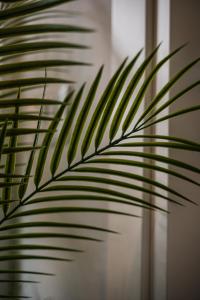 Rapallo - Monolocale con piscina