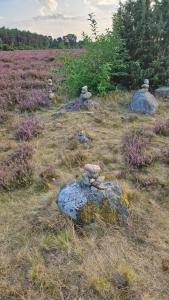 Ferienwohnung Ekaterina