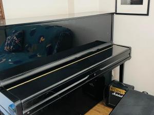 House with nice garden, downtown by walk