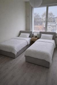 Cozy in antwerpen