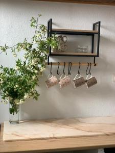 Cocon cosy avec jardin privé à Seguret