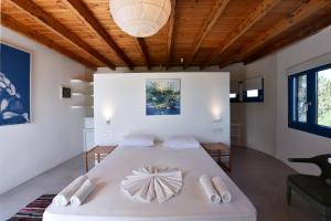 Breathtaking Seaview Villa Deos