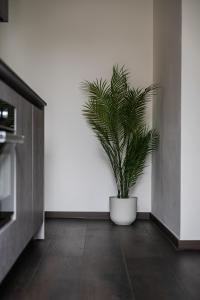 Rapallo - Vista mare con letto a castello