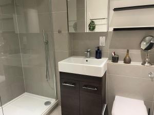 Central London Apartment near Chelsea