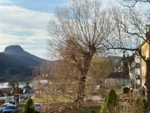 An der Elbe