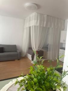 CENTRUM White Appart Parking