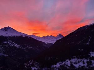 Maison DHortense chalet le Chamois