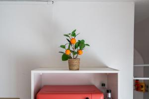 Le Blanqui Wi-Fi proche Cathédrale