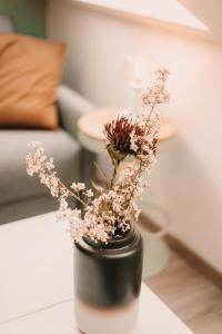 Appartement spacieux, Charmant quartier Médiéval