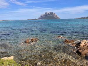 Quadro sul Mare img11