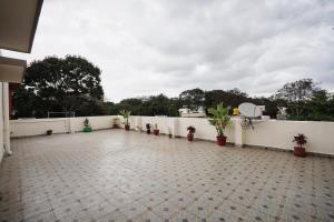 Penthouse with Private Balcony & Terrace Access
