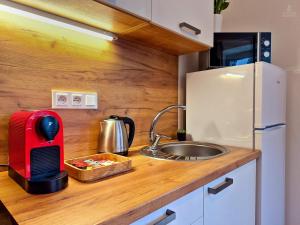 City Center Apartments - Moderna Brno Římské náměstí I