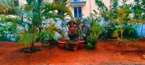 Aadhya guest house