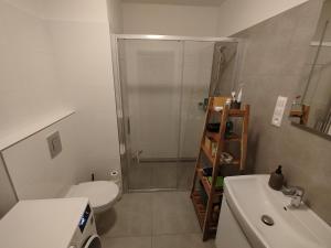 Apartment in Trencin with free parking