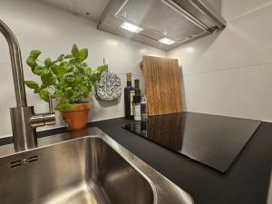 Stylish city studio - renovated & central