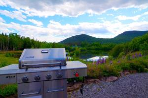 Lakeside Gateway 4 Spa Sauna Firepit