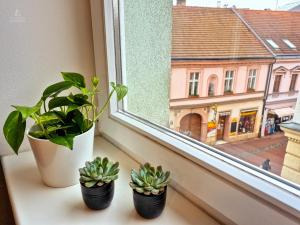 City Center Apartments - Moderna Brno Římské náměstí VI