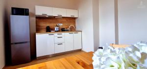 City Center Apartments - Moderna Brno Římské náměstí VI