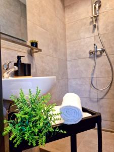 City Center Apartments - Moderna Brno Římské náměstí VI