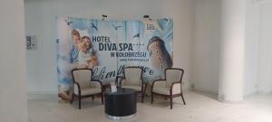 Apartament Diva Rosa - Panorama z aneksem kuchennym