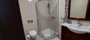 Apartament Diva Rosa - Panorama z aneksem kuchennym