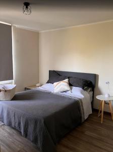 Moderno Depto en Santiago Centro Wine and Cheese Experience