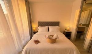 2H2B I Santiago Centro I Movistar Arena