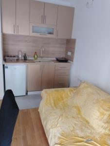 Apartman Iva