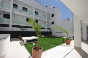 919 - Livingtarifa Black Palm