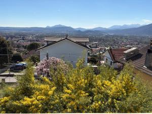 Un balcone sulla Valle di Susa, Fiori e Frutti
