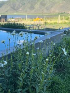 Casa La Querida,Las Siringuillas, Tafi del Valle