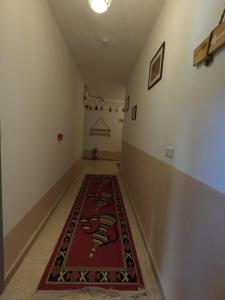 B&B petrafarmhouse