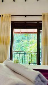 Villa Flycatcher