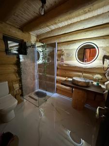 Chalet in Muntii Vrancei