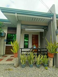 29 Palms Panglao Suites