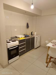 Mono ambiente en plata baja