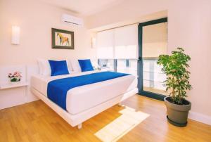 ORBI CITY Rai Premium