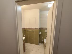 1,5 room AC apartment, Rača